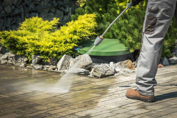 Best Dumpster Area Cleaning  in Totowa, NJ